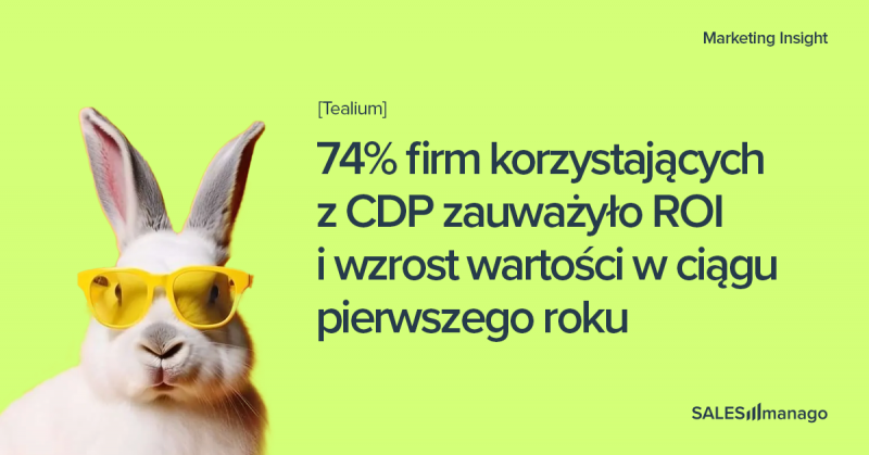 Czym jest Customer Data Platform? CDP w pigułce część 1