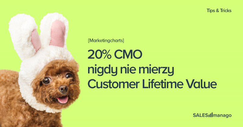 Jak zwiększyć Customer Lifetime Value dzięki platformie Customer Engagement