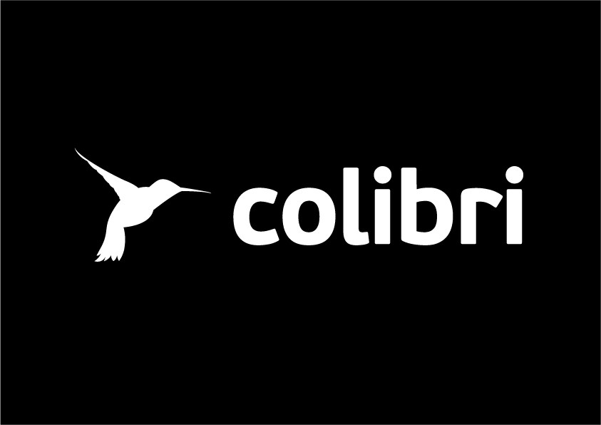 Colibritool.com – Po co Ci wiedza na temat Twojej pozycji w wyszukiwarce skoro nie potrafisz jej wykorzystać?