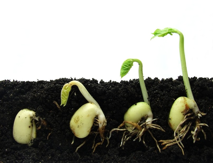 13 dowodów na to, że potrzebujesz Lead Nurturing