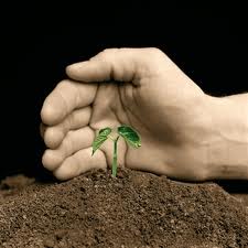 7 sposobów na wykorzystanie firmowego bloga w procesie Lead Nurturing