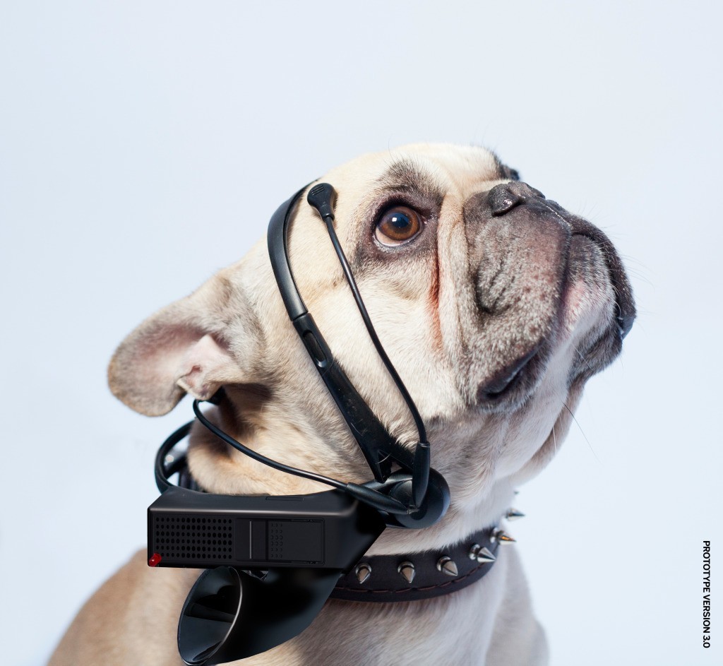 15 najdziwniejszych wearables i czemu powinny Cię obchodzić