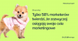 4 rzeczy na temat pomiaru wydajności sklepu, o których powinien wiedzieć każdy marketingowiec